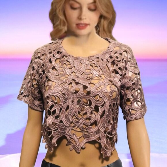 JESS C. Blush Champagne Floral Guipure Lace Short Sleeve Crop Top Blouse Sz 4 - Picture 5 of 6